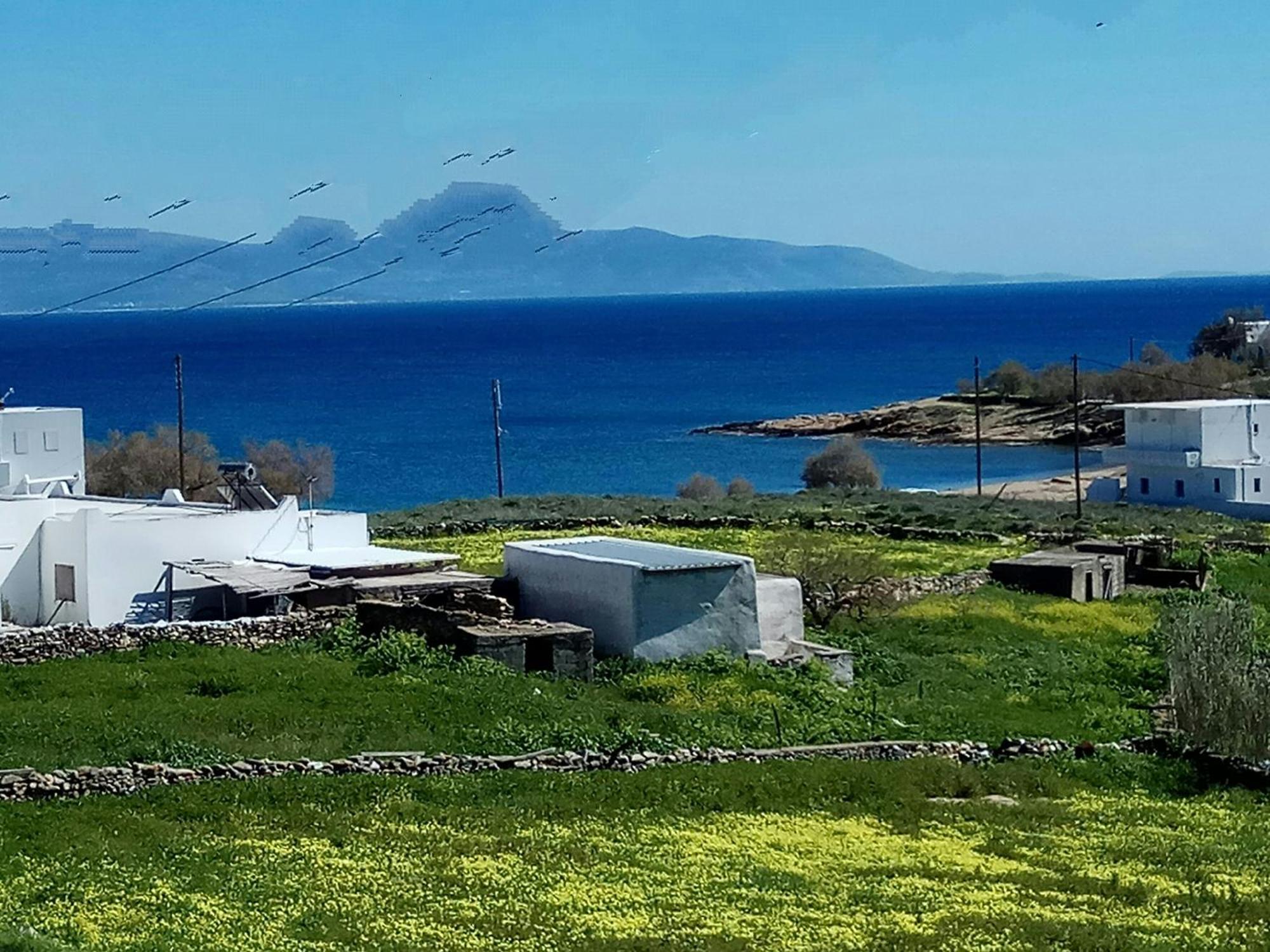 Nicos Studios & Apartments Logaras Dış mekan fotoğraf