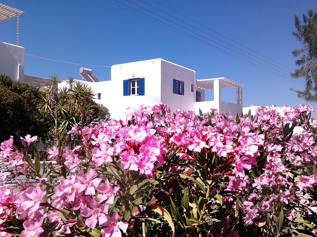 Nicos Studios & Apartments Logaras Dış mekan fotoğraf