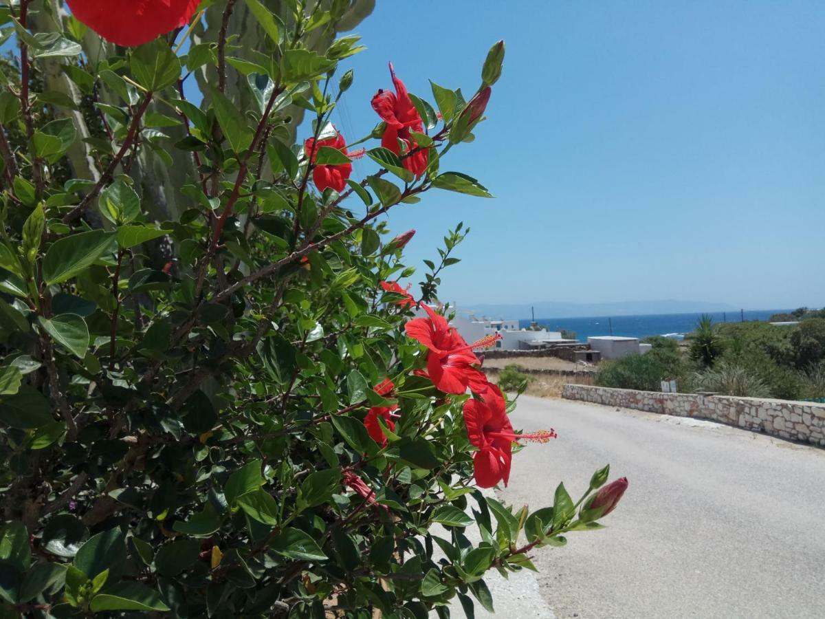 Nicos Studios & Apartments Logaras Dış mekan fotoğraf