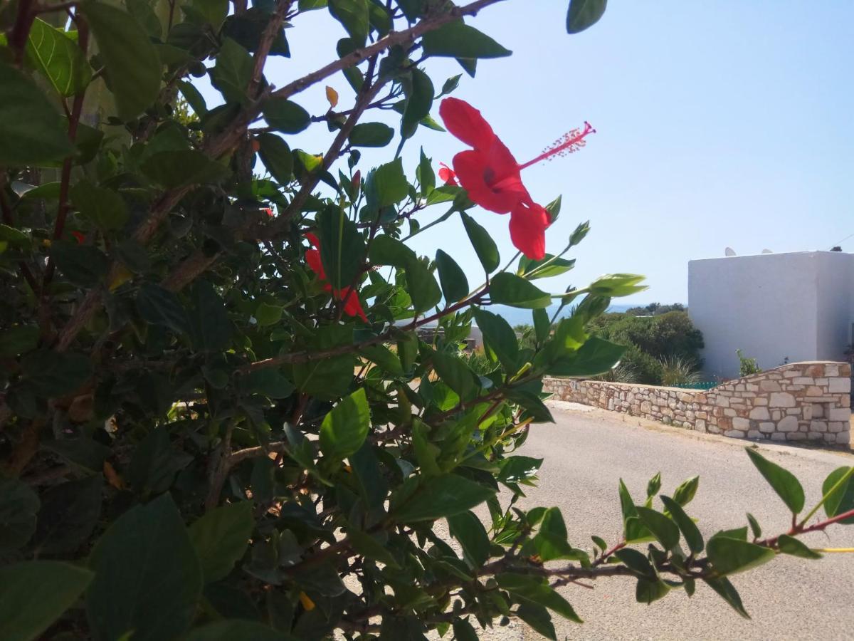 Nicos Studios & Apartments Logaras Dış mekan fotoğraf